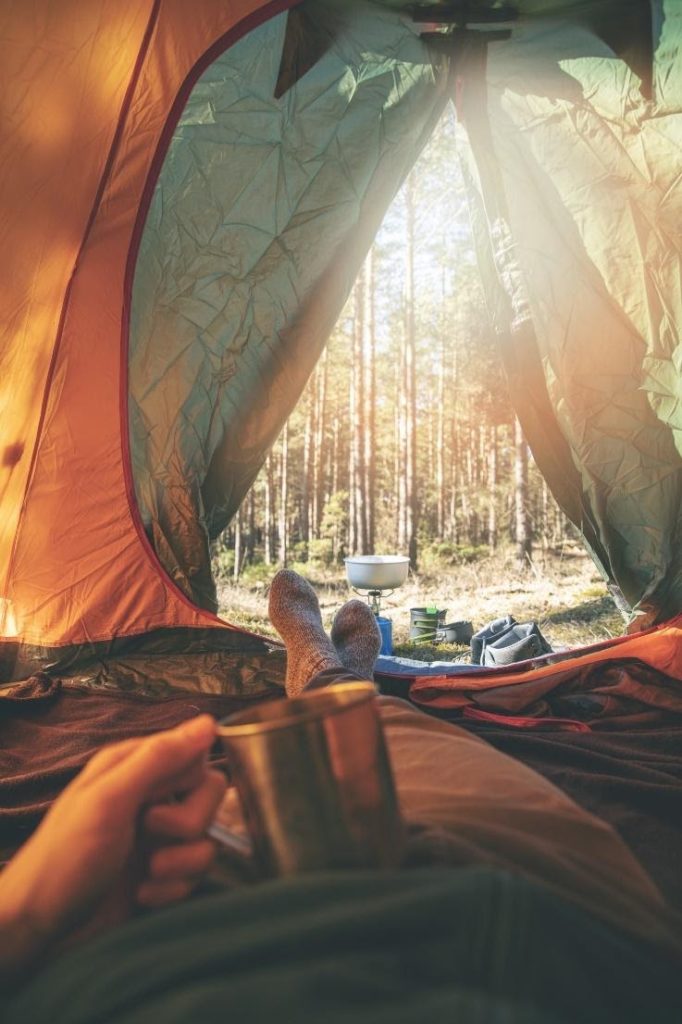 Aussicht auf den Wald aus einem Zelt