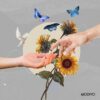 Hände, Blumen, Schmetterlinge
